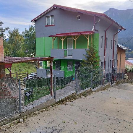 Vila Cri Cri Буштені Екстер'єр фото
